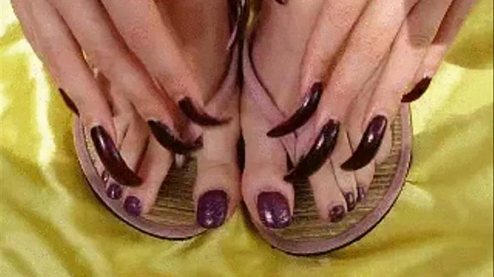 dark plum toes and nails