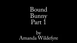 Bondage Bunny Part 1