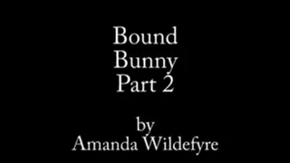 Bondage Bunny Part 2