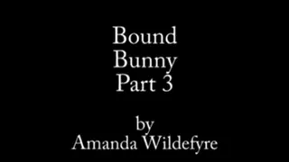 Bondage Bunny Part 3