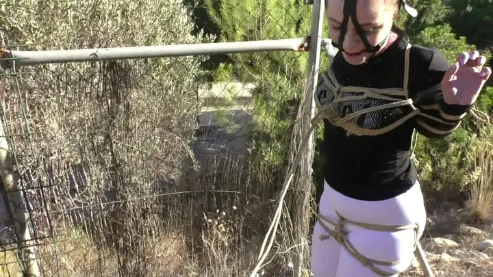 Intense Bondage Walk Training Lesson for Roxy - Part 2