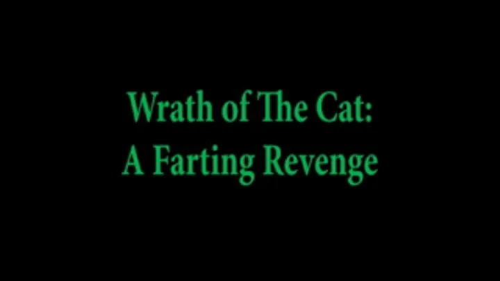 Wrath of The Cat: A Farting Revenge