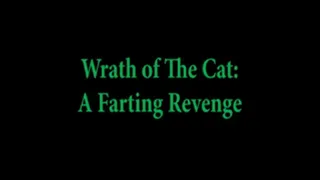 Wrath of The Cat: A Farting Revenge