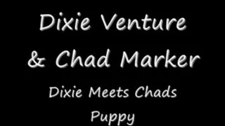 Dixie meet Chads puppy