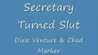 Secretary Turned Slut