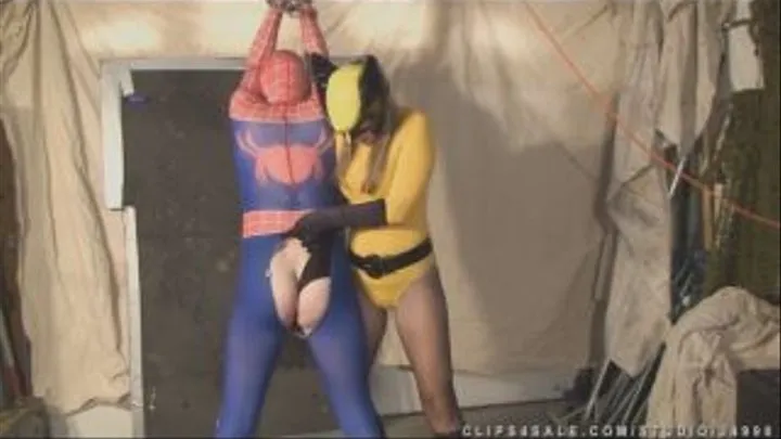 Superheroes Getting Wedgies - Compilation Definition