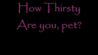 How thirsty Are you pet?