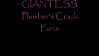 Plumber's Crack Farts