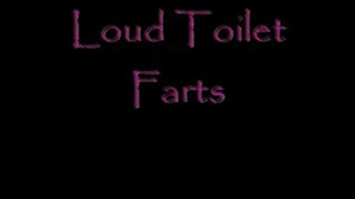 Loud Toilet Farts