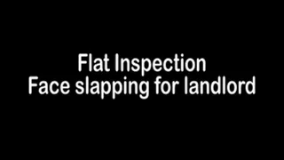 Flat inspection face slapping mp4
