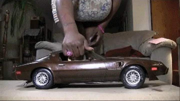 Big Chocolate Trans-Am VS Big Chocolate Feet