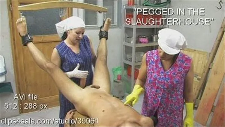 Pegged in the slaughterhouse