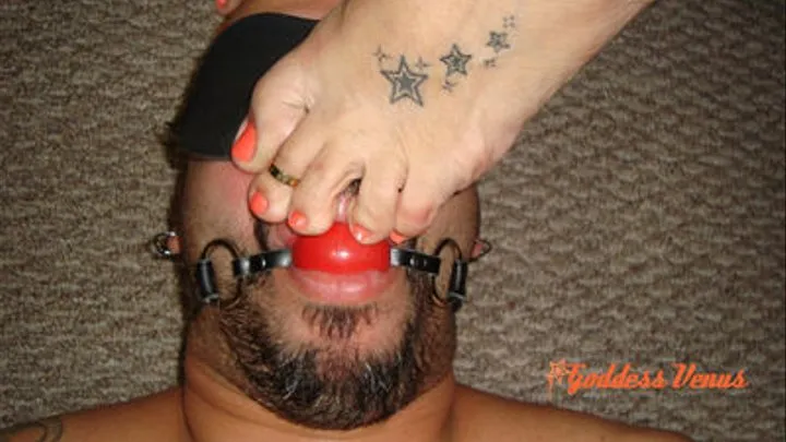 Gagged, Blindfold and Smothered
