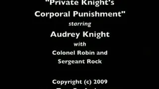 Private Knight (7)