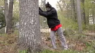 APRIL TREE PUSHER 2