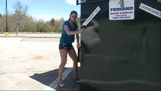 APRIL LIFTS AND PULLS DUMPSTER 2