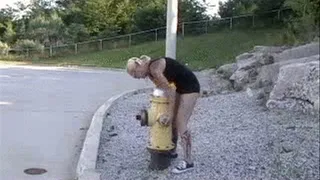 LANA LIFTS FIRE PLUG