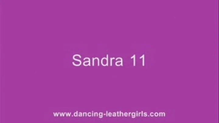 Sandra 11 - Shiny Oneway Leather Pants