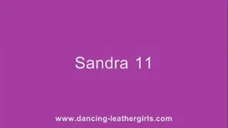 Sandra 11 - Shiny Oneway Leather Pants