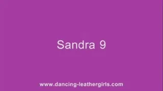 Sandra 9 - Moving in Liquid Leatherleggings