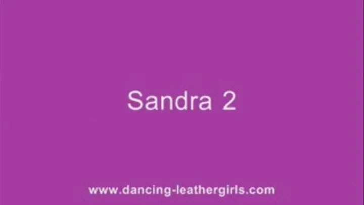 Sandra 2 - Tommy Leather Pants and Leather Gloves