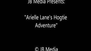 Arielle Lane's Hogtied Adventure - SQ