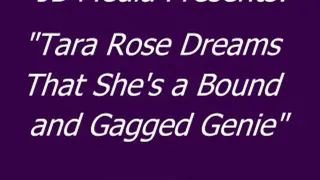 Tara Rose Dreams She's a Genie - SQ