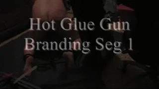 Hot Glue Branding Seg 1
