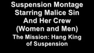 MaliceSin Suspension Montage II