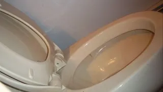 Watch my toilet bowl while I puke