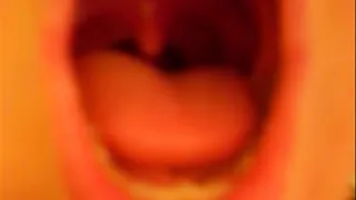 My Tonsils & uvula up close