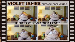 Junk Food Snack Attack