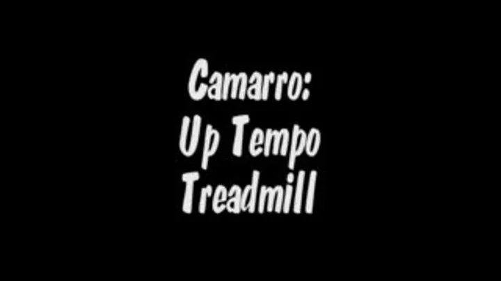 Camarro's Up Temp Nude Treadmill