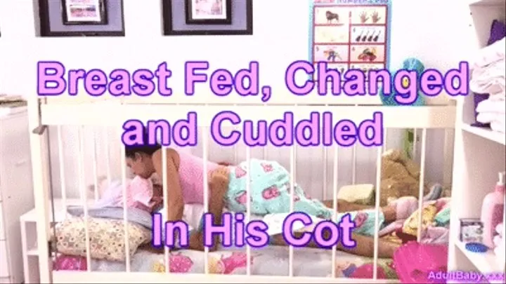 Breast Fed, Changed and Cuddled In His Cot