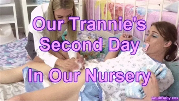 Our Trannie's Second Day In Our Nursery