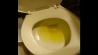 Yulia Forgets to Flush Vol. 4 (Cellphone Cam Exclusive)