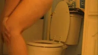 Trio of toilet clips