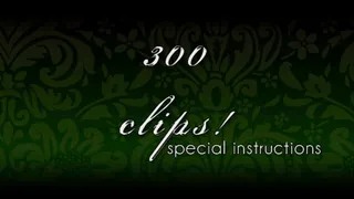 300 clips (special instructions)