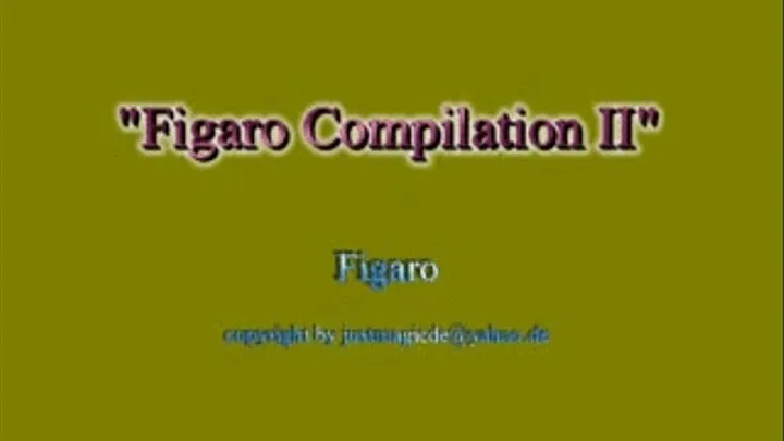 Figaro Compilation II