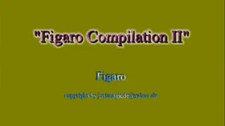 Figaro Compilation II