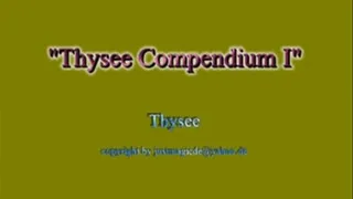 Thysee Compilation I