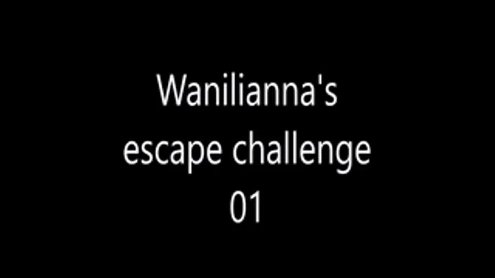 Wanilianna's escape challenge 01