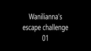 Wanilianna's escape challenge 01