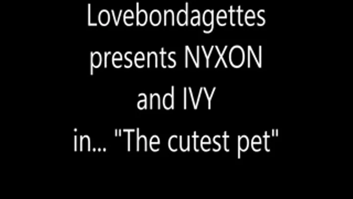 The cutest pet, with Nyxon and Ivy