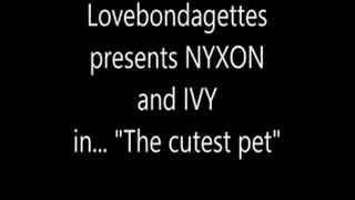 The cutest pet, with Nyxon and Ivy