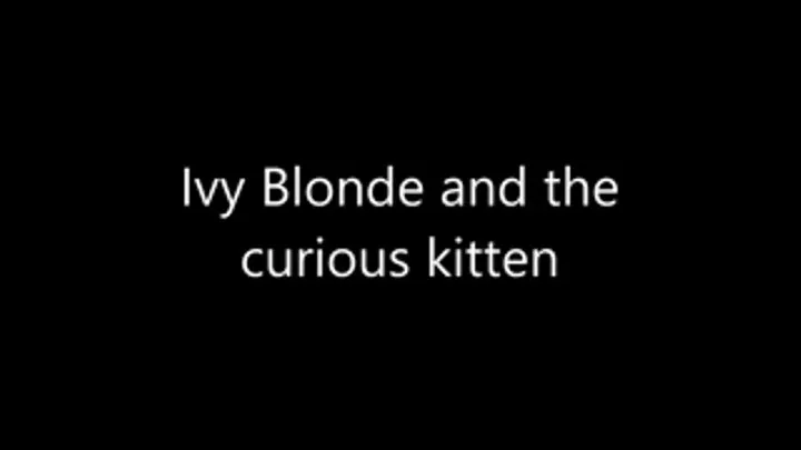 Ivy Blonde and the curious kitten