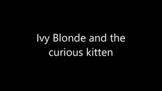 Ivy Blonde and the curious kitten