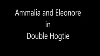 Double hogtie!