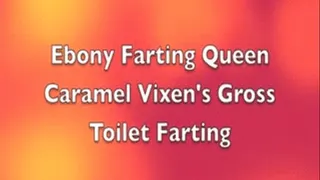 Caramel Vixen's Hotel Farting