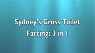 Gross Toilet Farting: 3 in 1